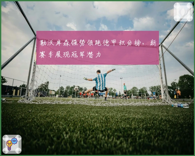 勒沃库森强势领跑德甲积分榜,新赛季展现冠军潜力